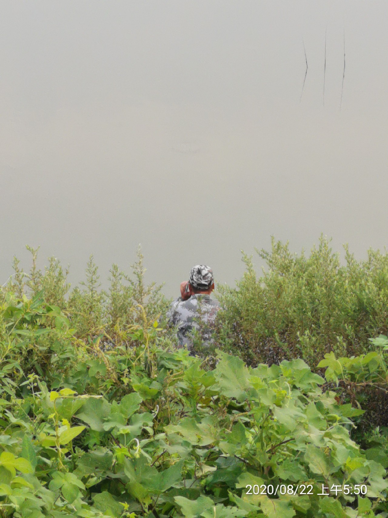 顶着30度的高温,顶着40度的高温钓鲢鳙