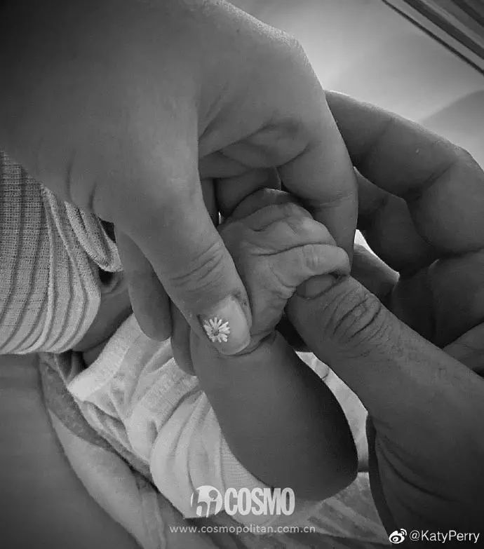 omg演唱会水果姐,omg水果姐完整视频