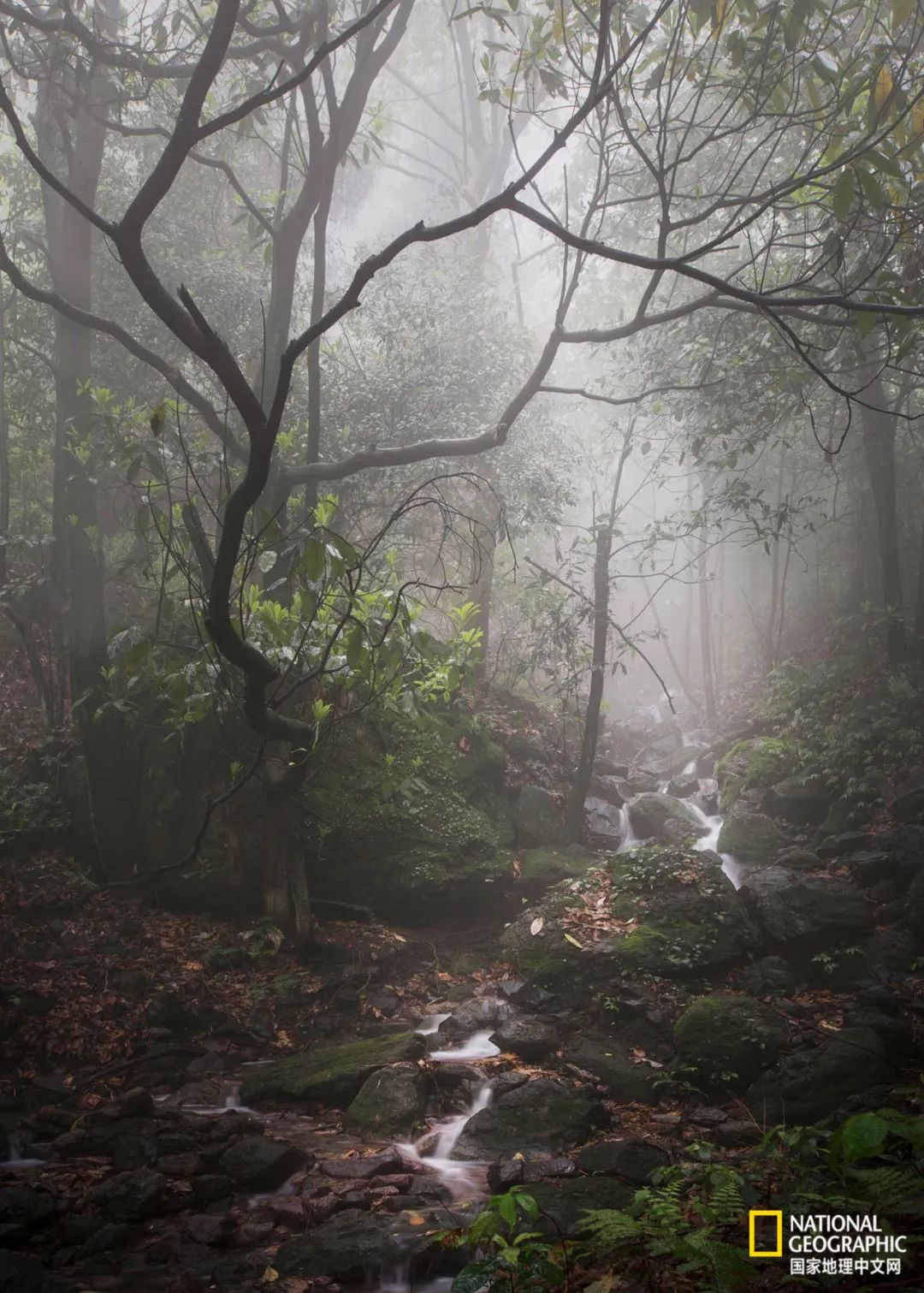 江郎山，刺破天