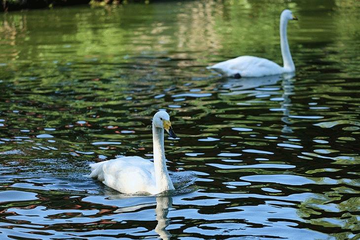 比肩eosr的相机,比佳能r6好的相机推荐