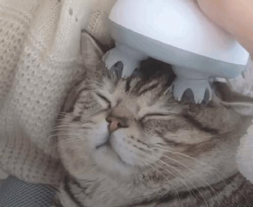 *处私**香水？蜜桃屁垫？这些东西到底是什么鬼