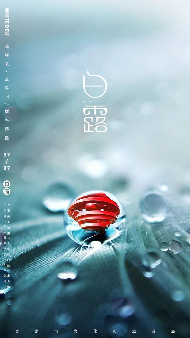 青岛二十四节气白露,二十四节气里的青岛