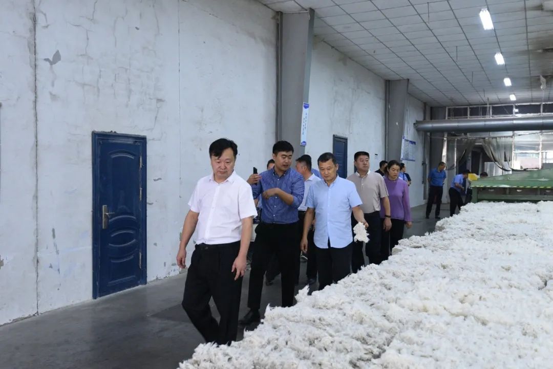 基层检察风采视频简介,基层政法工作风采