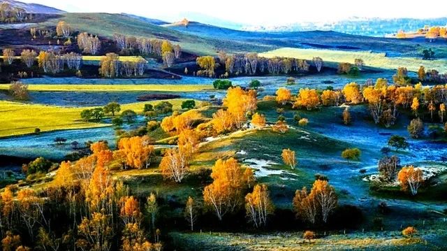 新训在即，这些防疫措施你必须牢记！