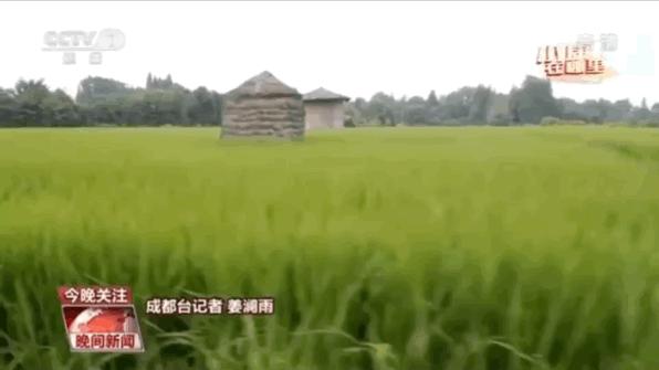 成都周边一日游网红打卡地民宿,成都网红打卡地旅游民宿