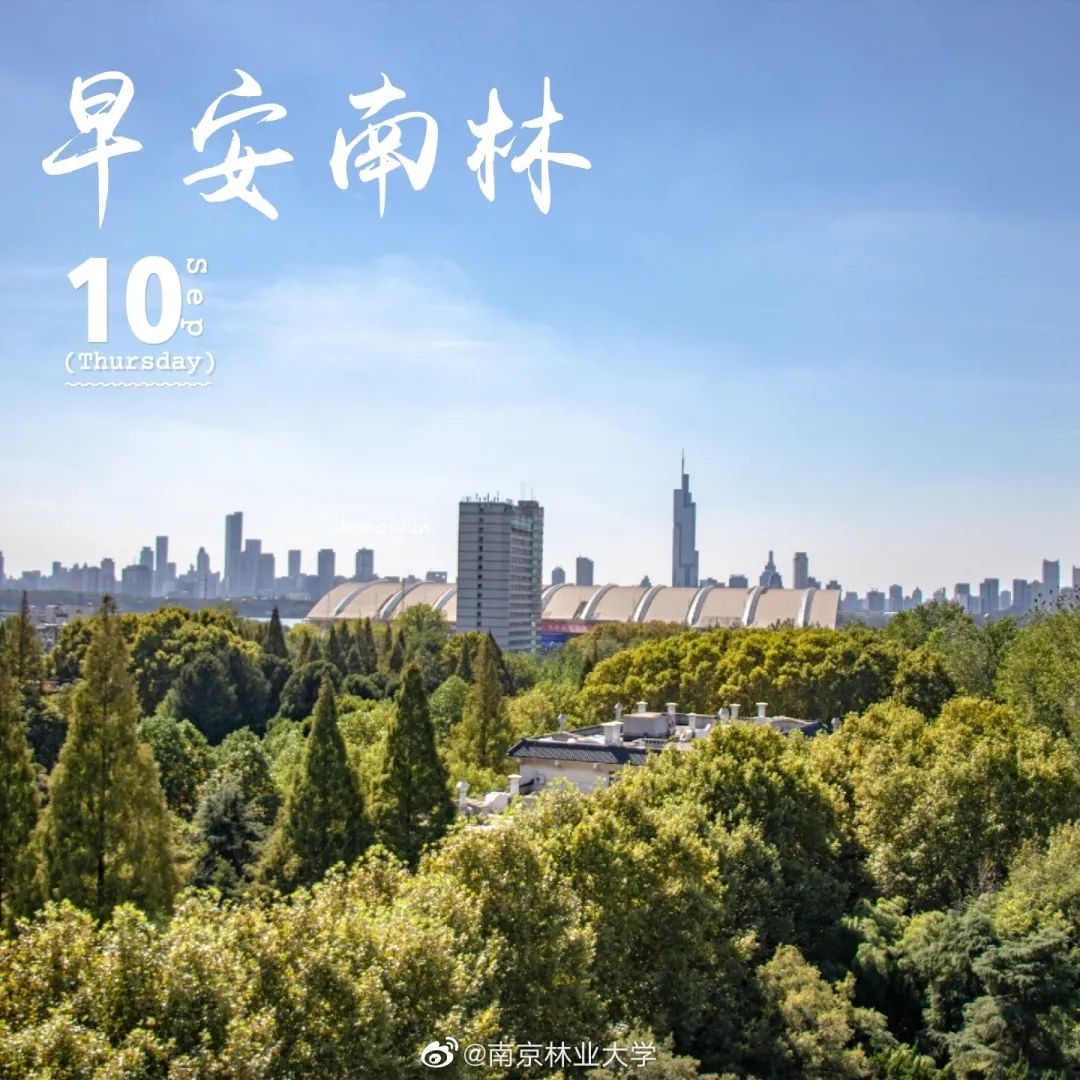 妈妈，我在南京上的真的不是“野鸡”大学