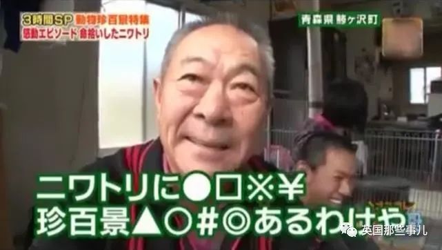 大爷养鸡为吃肉，但却不忍杀鸡。这背后秘密，莫名奇妙可爱