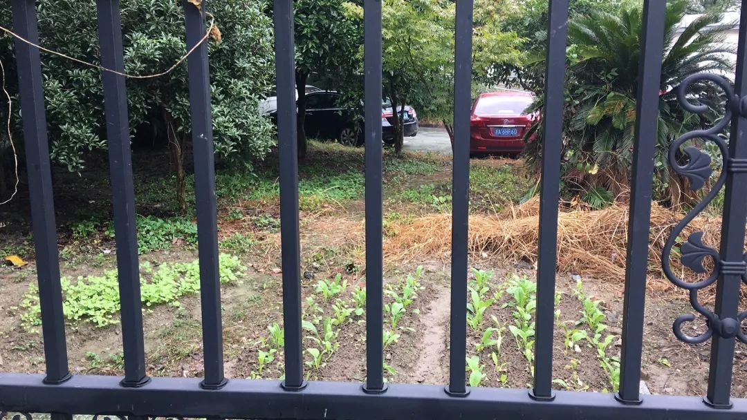 欠收拾图片,宝宝欠收拾