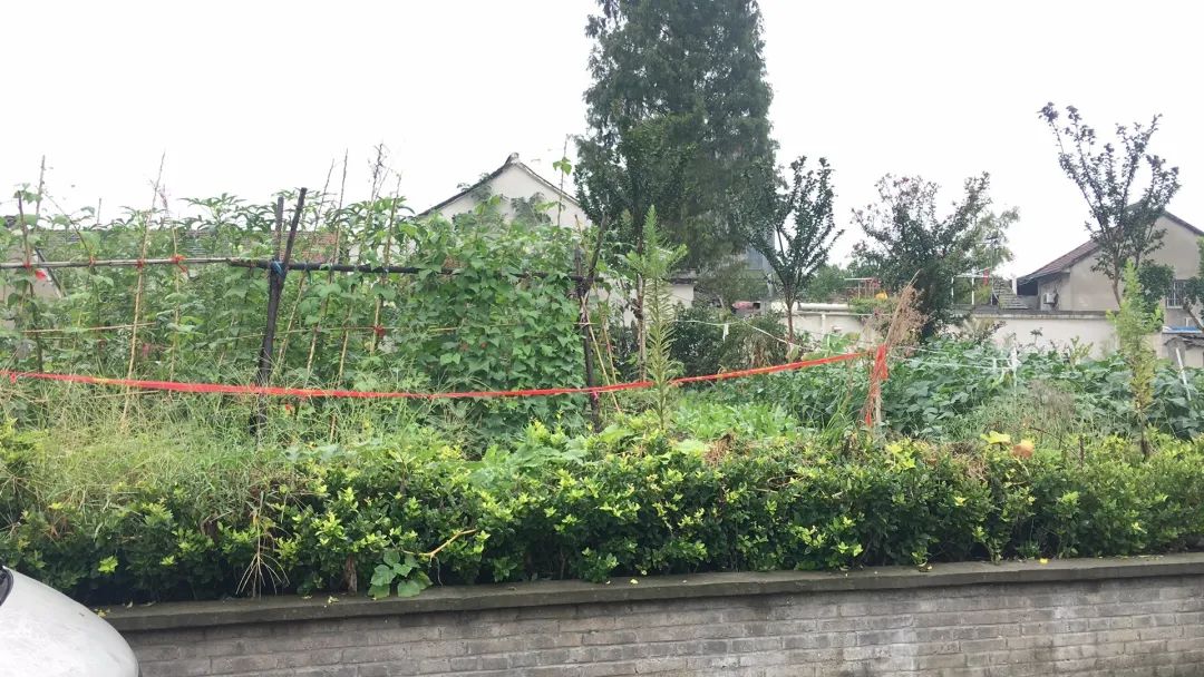 欠收拾图片,宝宝欠收拾