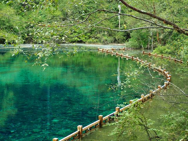 初秋,与神话九寨的浪漫之约