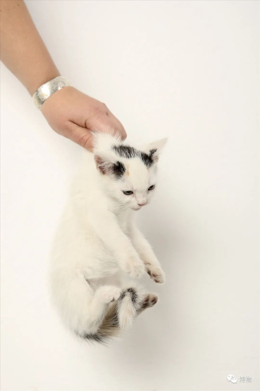 我死了又活了,我死了我的债务怎么办