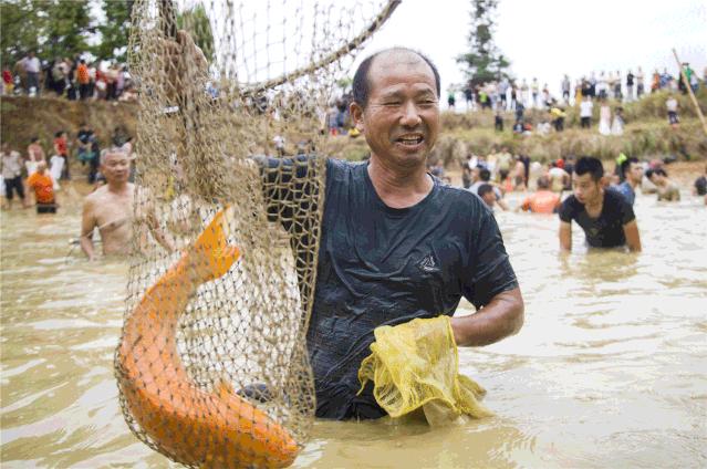 风展红旗如画三明活动,风展红旗如画三明官方图片