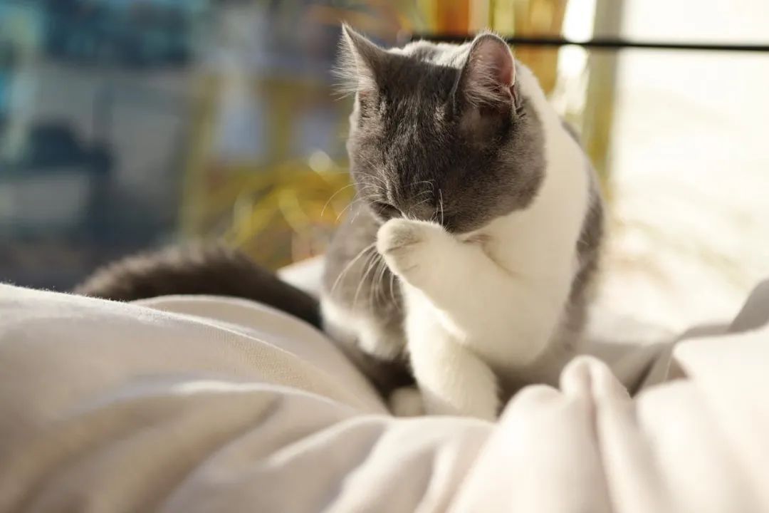 你放吧，我相信你……男医生的第一次，居然一点都不痛