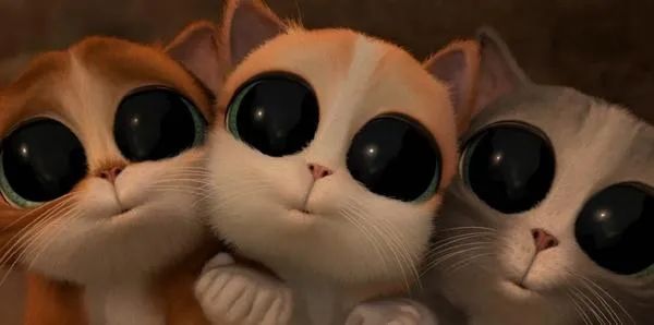 劣质美瞳伤眼怎么协商 (美瞳真的很伤眼吗)