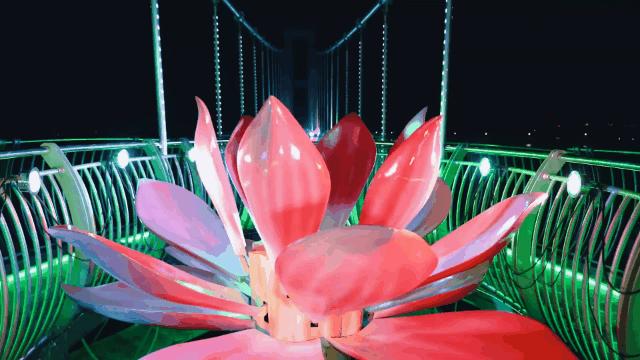 治愈选择恐惧症,治愈选择恐惧症的游戏