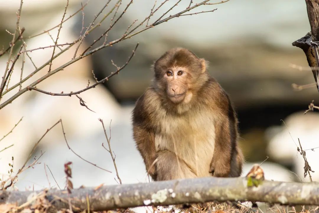 别去挤景点了！生态旅游了解一下