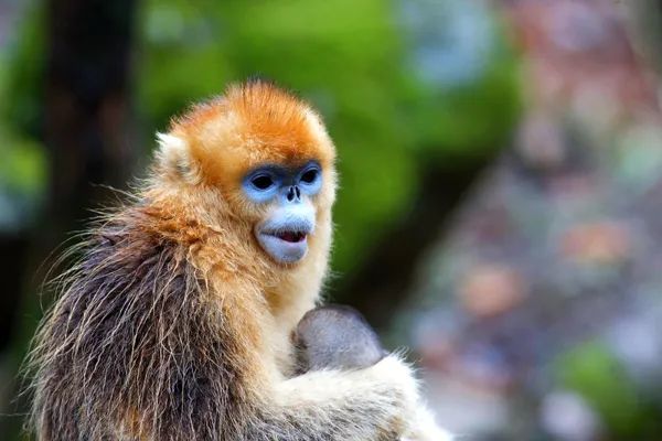 别去挤景点了！生态旅游了解一下