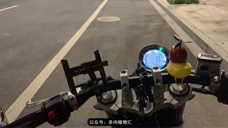 浠庝簯鍗楄繃鏉ュ箍涓滅殑澶氳倝,閬囪澶氳倝鎰熸仼鐢熷懡涓墍鏈夌殑鐩歌瘑