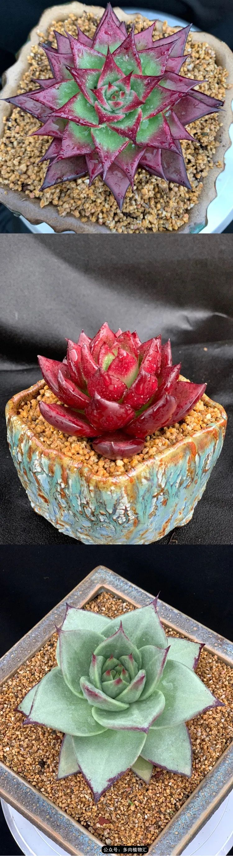 浠庝簯鍗楄繃鏉ュ箍涓滅殑澶氳倝,閬囪澶氳倝鎰熸仼鐢熷懡涓墍鏈夌殑鐩歌瘑