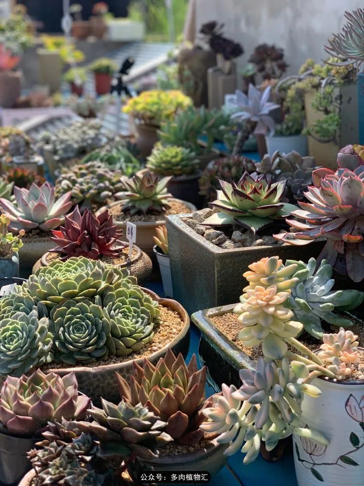 浠庝簯鍗楄繃鏉ュ箍涓滅殑澶氳倝,閬囪澶氳倝鎰熸仼鐢熷懡涓墍鏈夌殑鐩歌瘑