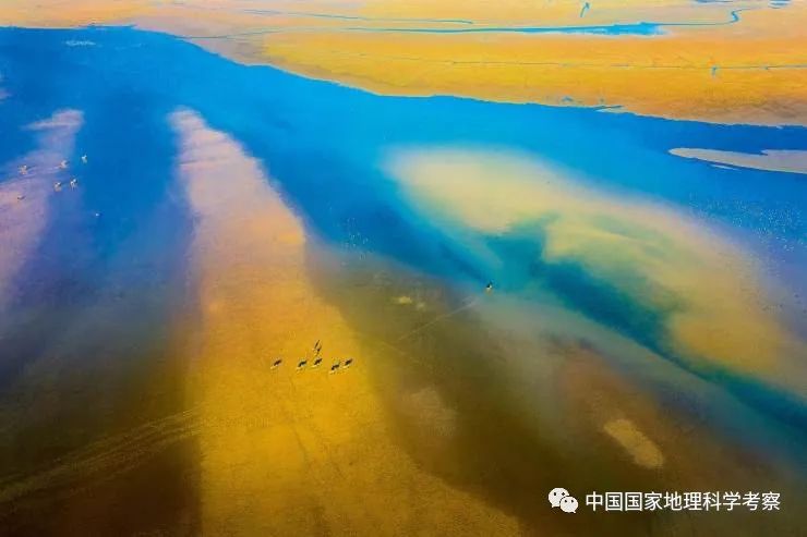 中国少年营新疆站报名,中国少年营报名