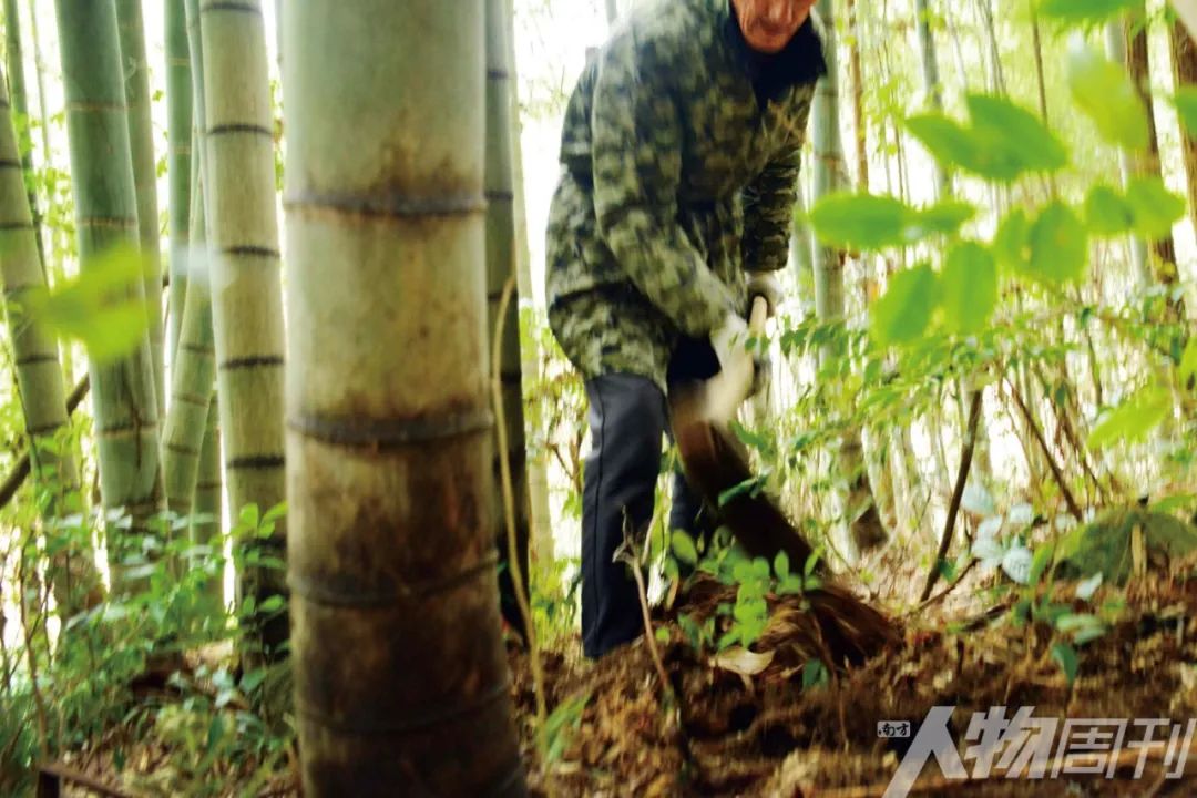 在有条件的情况下买双解放鞋,想买双好的解放鞋