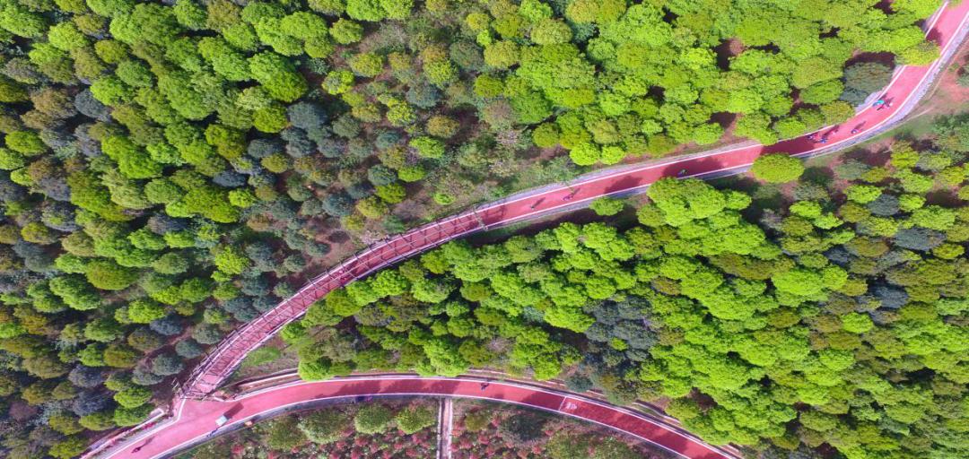 乡村旅游线路推荐,假期乡村旅游攻略