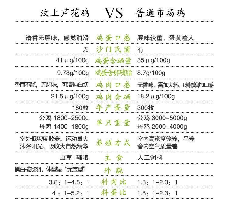 深山散养鸡哪里好吃,杂粮芦花鸡