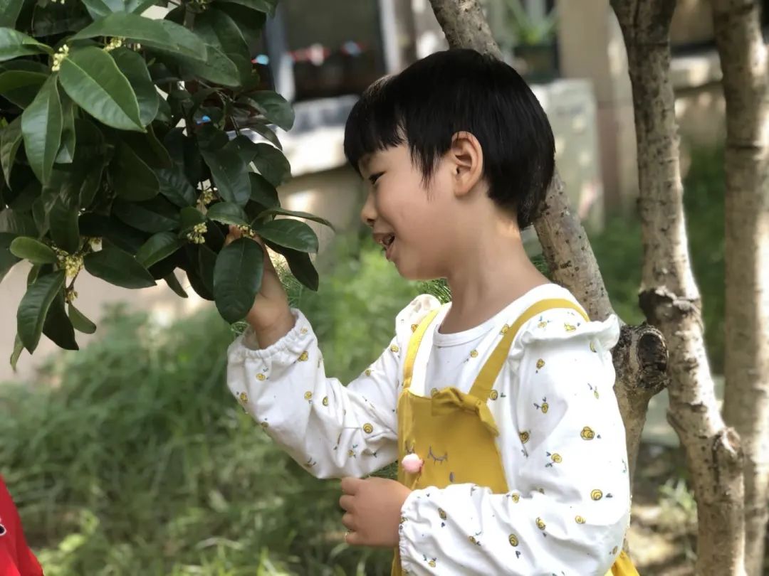 滨江多思创新学校,滨江学校全部排名