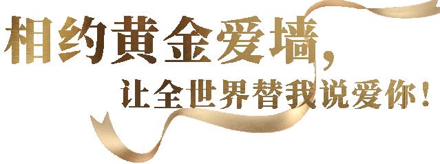 宝庆银楼手镯官方旗舰店,宝庆银楼家的黄金手镯