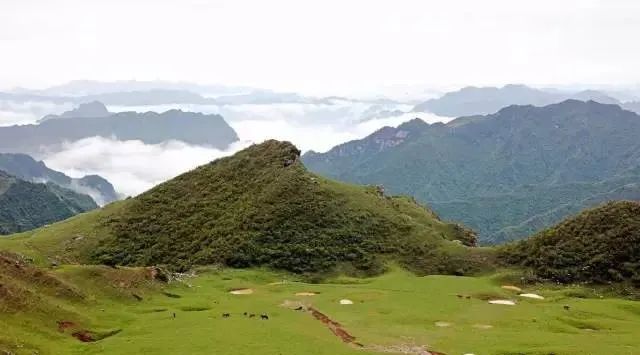 武都旅游景点大全,武都旅游线路