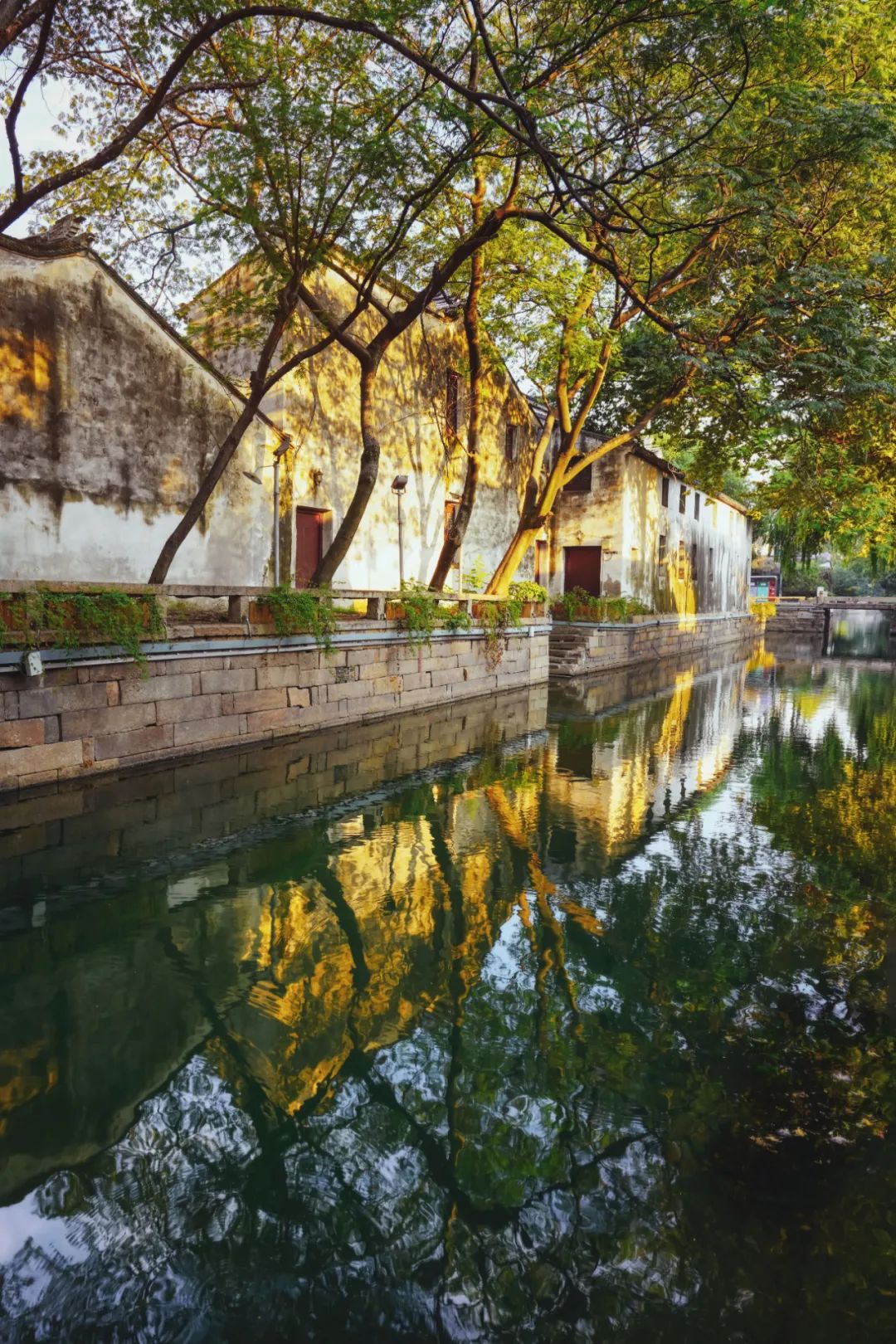 苏州是哪个省的城市啊,苏州一座充满江南小调的城市