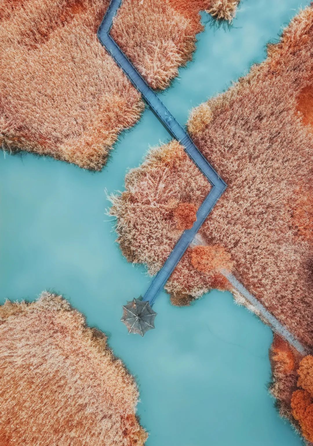 苏州是一座什么样的城市,苏州是一座美丽的城市