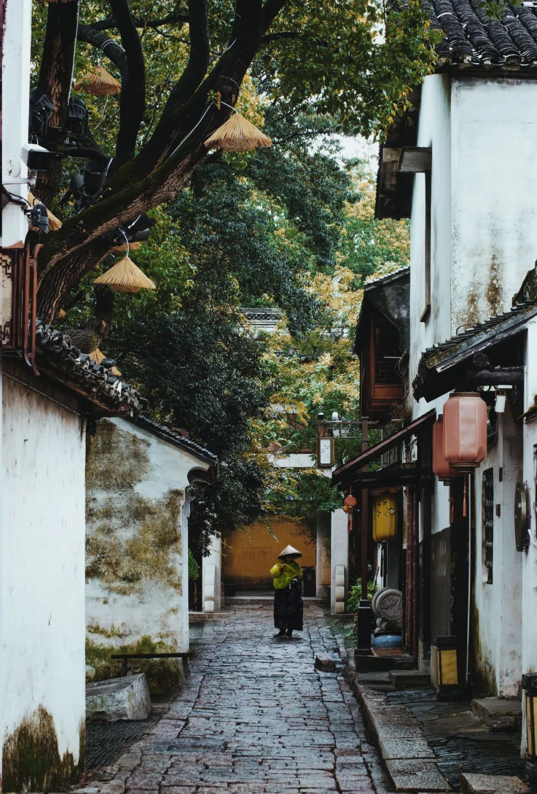 苏州是哪个省的城市啊,苏州一座充满江南小调的城市