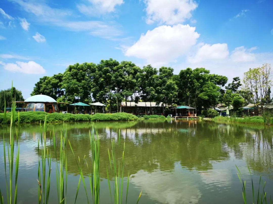 5条乡村游路线等你来打卡,国庆节乡村旅游打卡