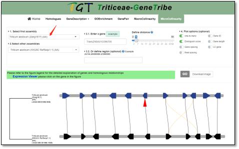 小麦基因组序列查询,小麦基因组