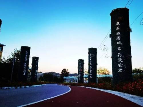 好文推荐作者文笔很好,好文荐读