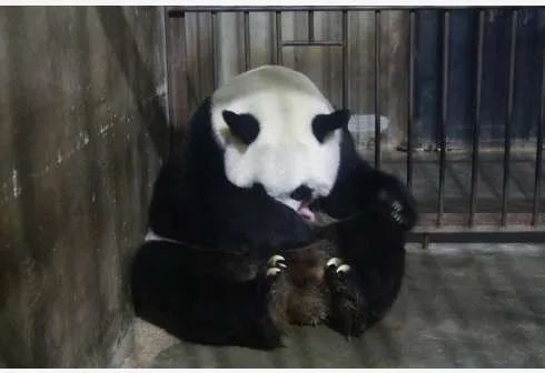 内蒙古供热低于18度退费,内蒙古供热低于18度怎样减免