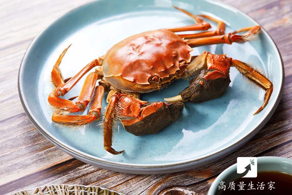 活螃蟹放冰箱冷冻40小时还能吃吗,活螃蟹直接放冰箱保鲜可以放几天