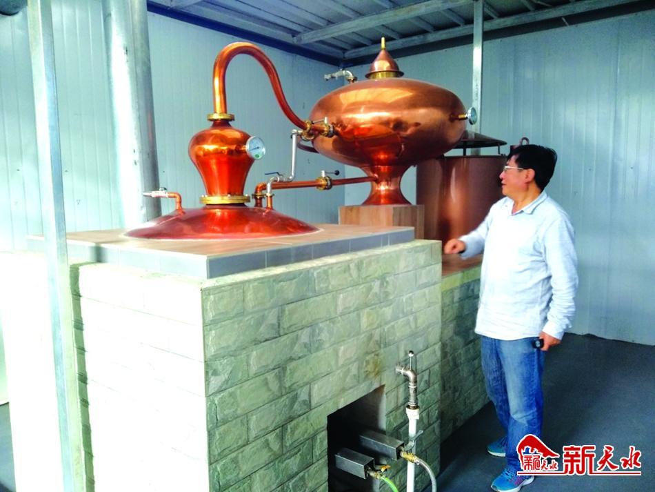 延伸产业链拓宽致富路,麦积区新阳镇未来新阳规划图