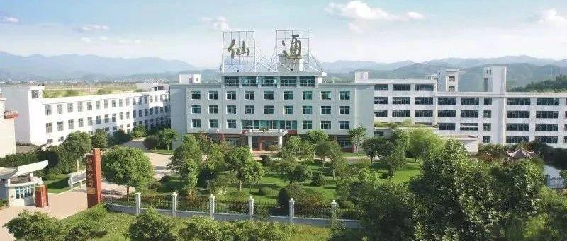 从草根到高管的逆袭之路,浙江仙通前景