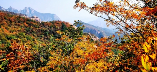 秋天的秦皇岛有多美？摄影家用镜头告诉你