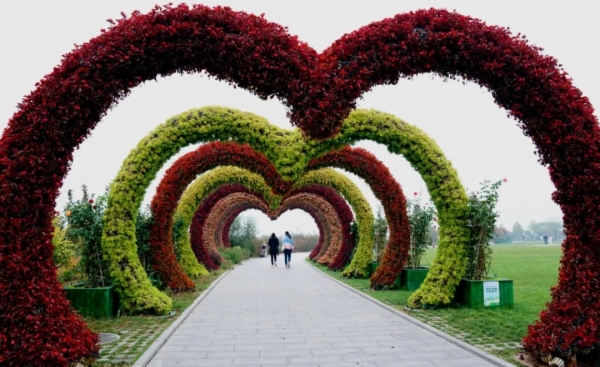 秋天的秦皇岛有多美？摄影家用镜头告诉你