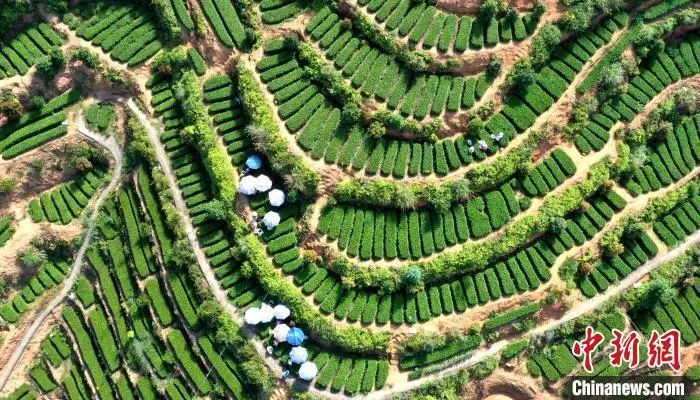 93000000日元等于多少人民币,93000000什么意思