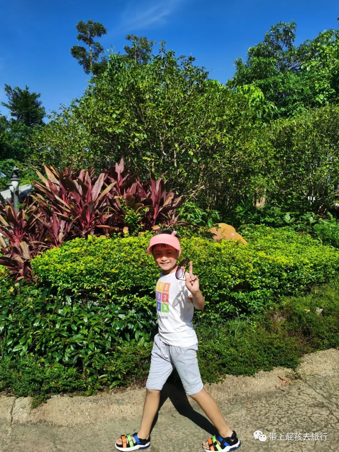 去珠海长隆海洋世界住哪个酒店好,长隆有必要住里面的酒店吗