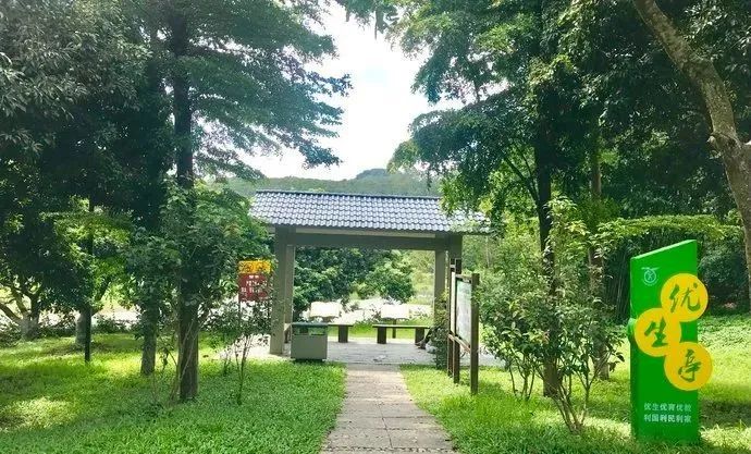 东莞周末带小孩哪里有好玩的地方,东莞又有什么好玩的