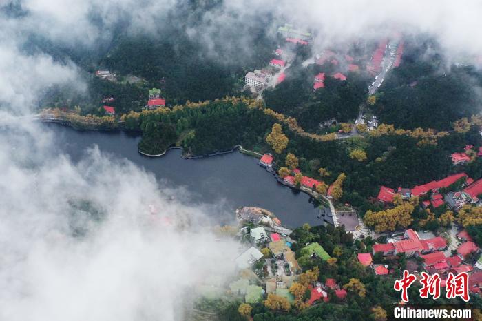 庐山云雾缭绕美不胜收,绝美江西庐山现壮阔云瀑景观