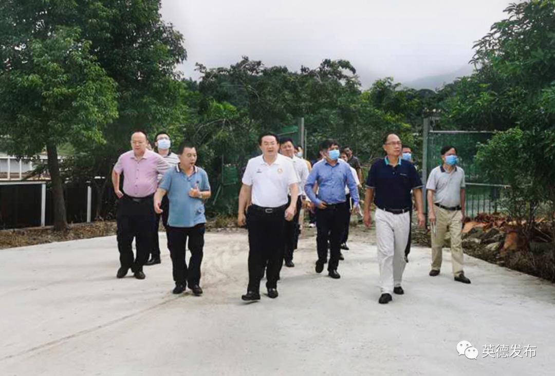 英德新闻新学校,英德新闻头条今天新闻