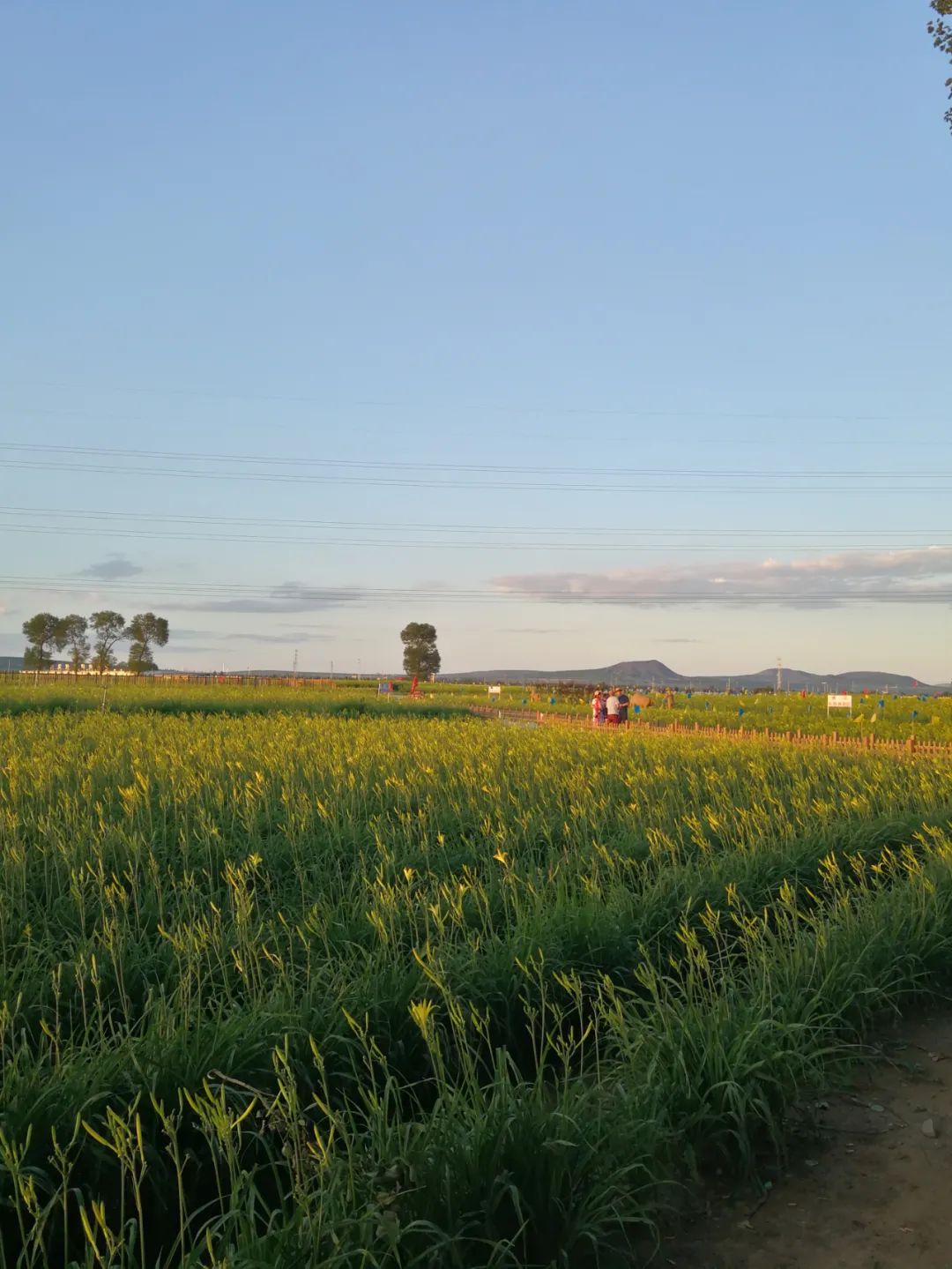 「996|美文」美丽的地方，京西三百里（下）