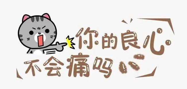 女儿与舍友发生矛盾,和舍友发生冲突怎么办